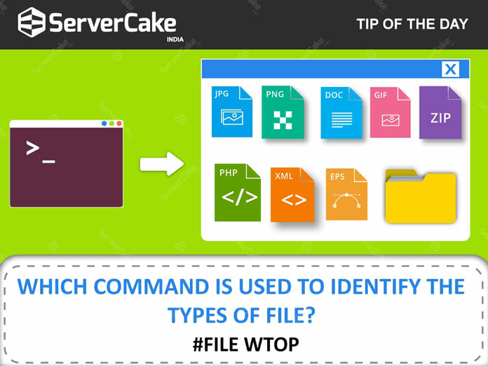 Linux Script File Types: Essential Formats for Command Line Operations