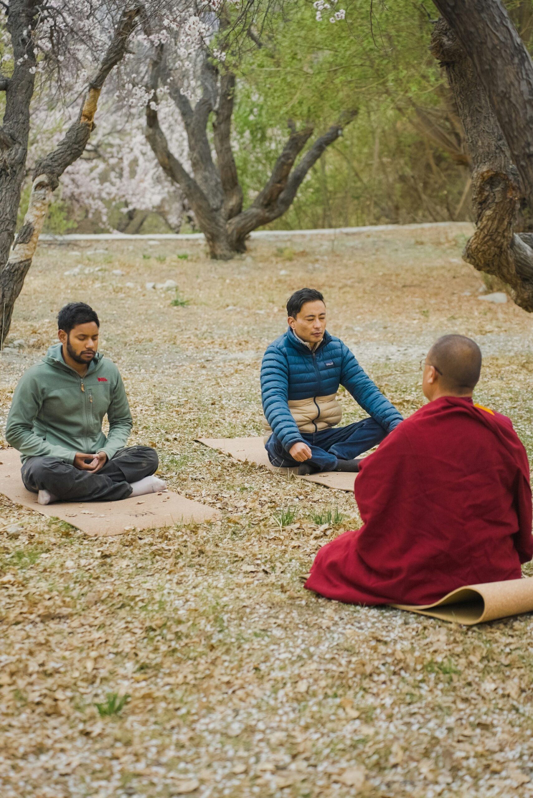 Building Resilience and Connection: Actionable Mindfulness and Meditation Practices for Every Family
