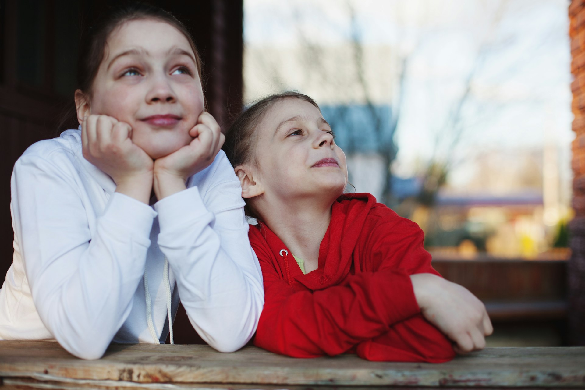 The Transformative Power of Emotional Support in Sibling Bonds
