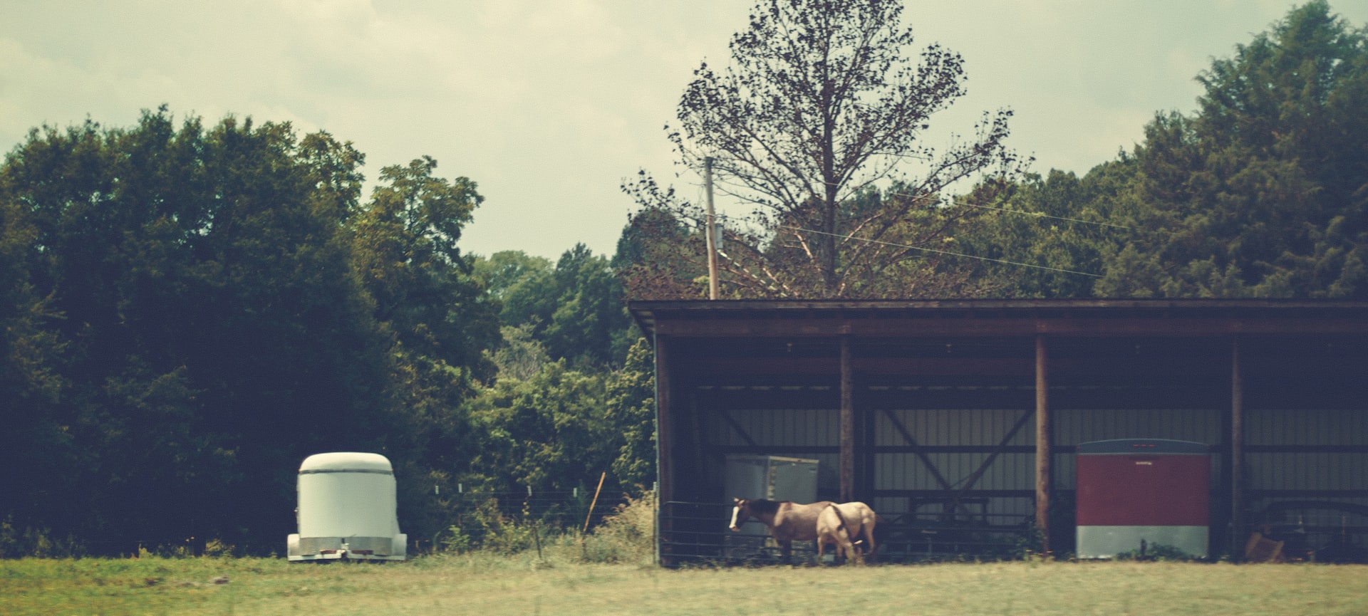 Embracing the Farm-to-Table Lifestyle: Sustainable Choices for Healthier Living