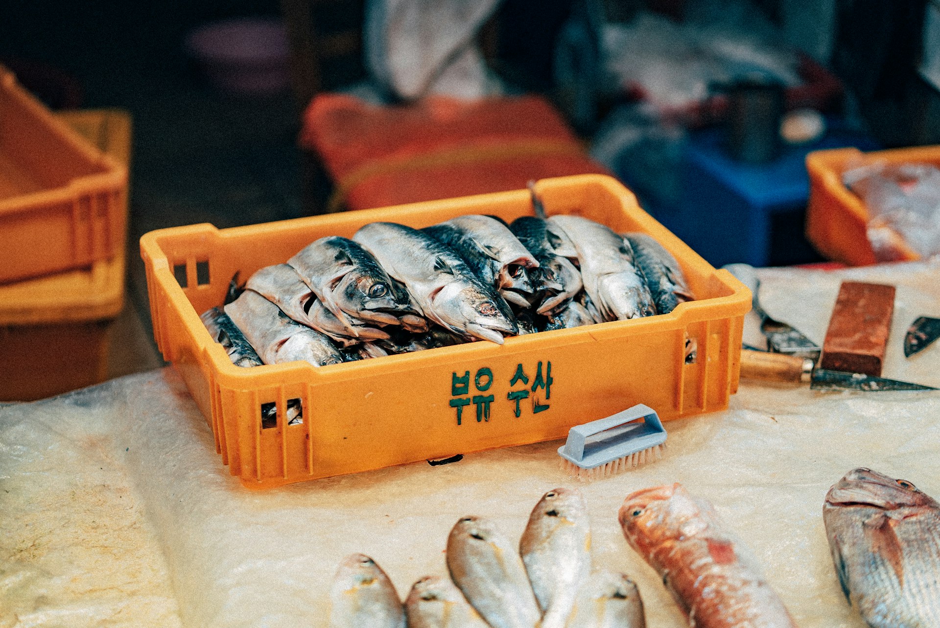 Sustainable Seafood Sourcing: Responsible Choices for a Healthier Future